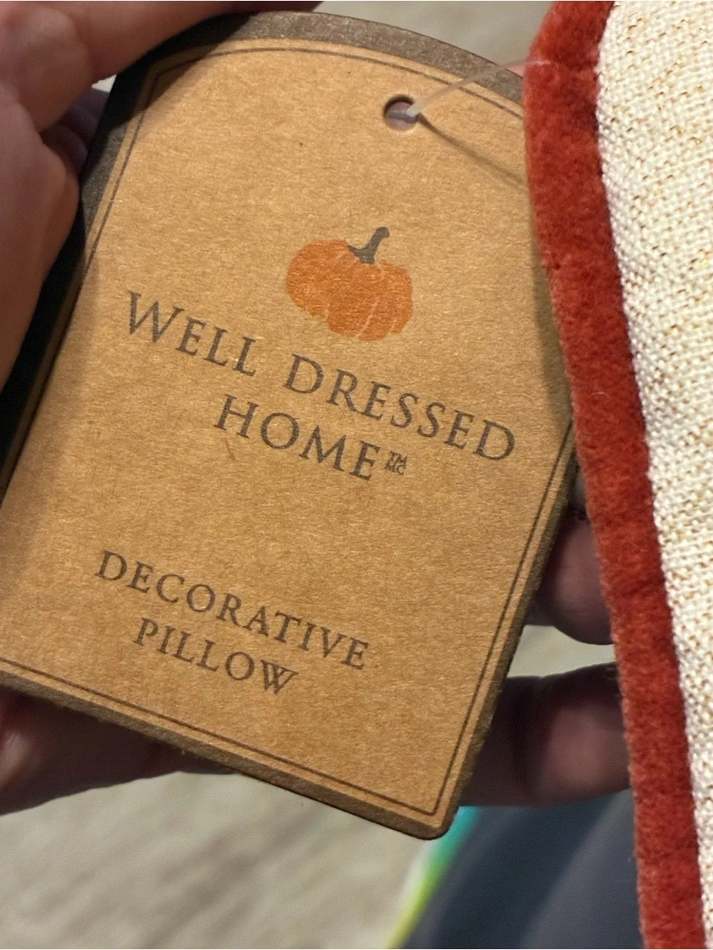 Well Dressed Home Autumn Harvest Fall Pumpkin Beaded Throw Pillows 12